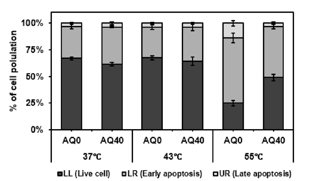 Live, early-apoptotic and late-apoptotic cell share after heat, with and without AQ (flow cytometry)